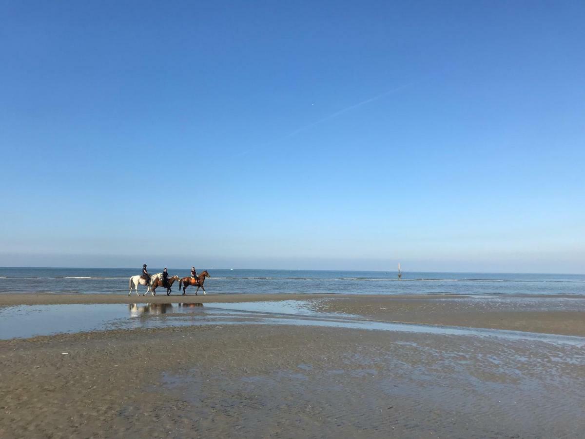 Koksijde Zeedijk Res Manh 아파트 외부 사진